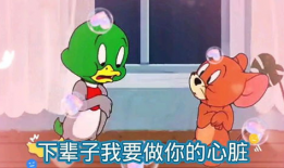 老鼠短视频,趣味横生的动物日常